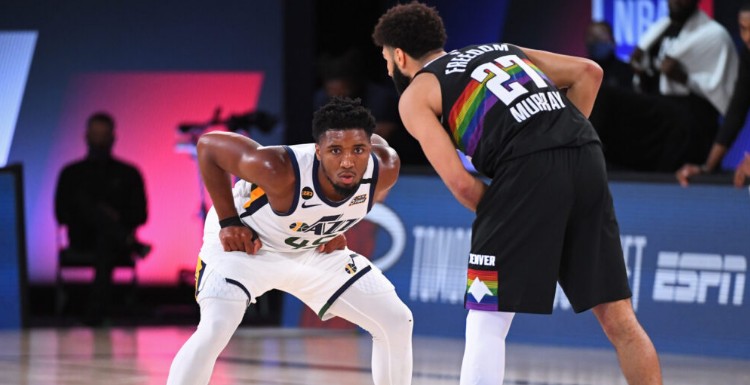 哈维的意见 哈维的意见