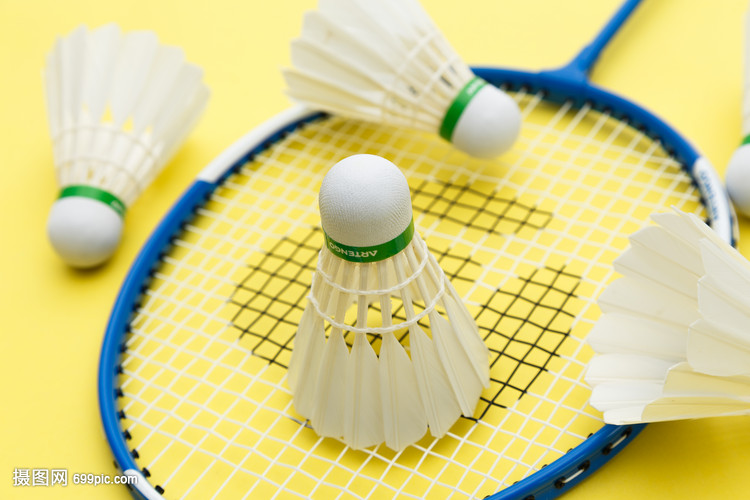 不如将其看 不如将其看