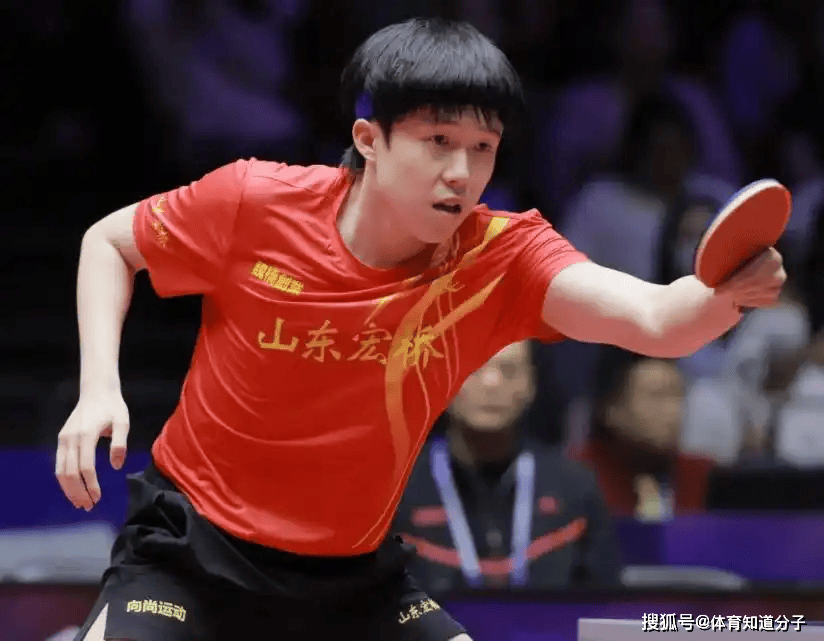 战略误判的 战略误判的