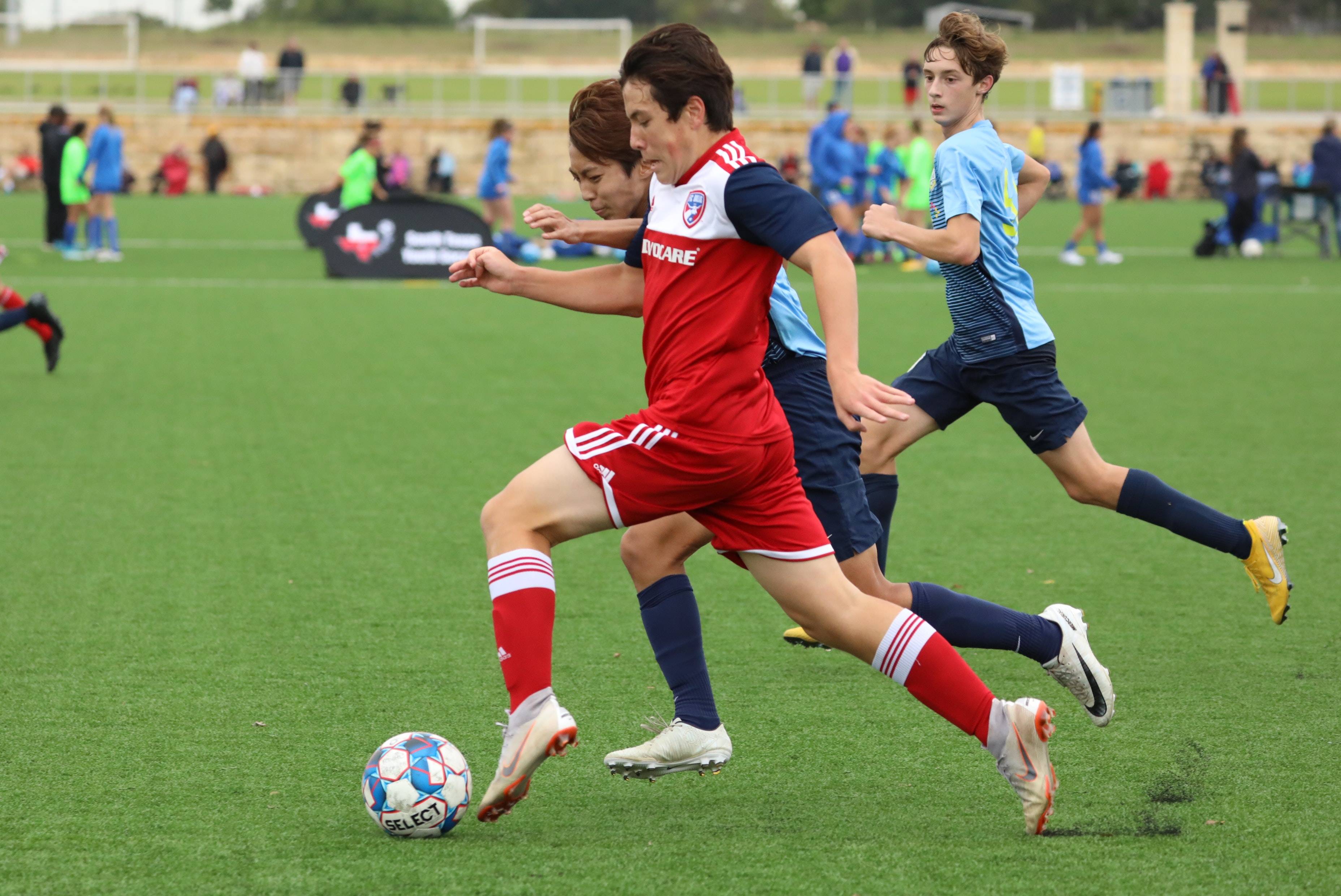 体和球迷之 体和球迷之