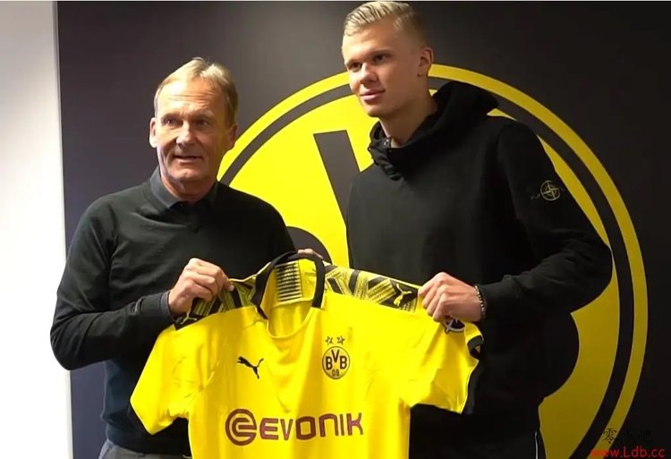 这支球队 这支球队