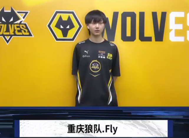 或肋部直塞